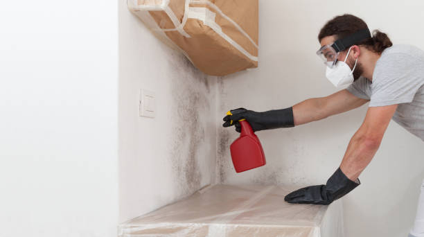Professional Attic Mold Remediation technician working in South Hamilton, MA