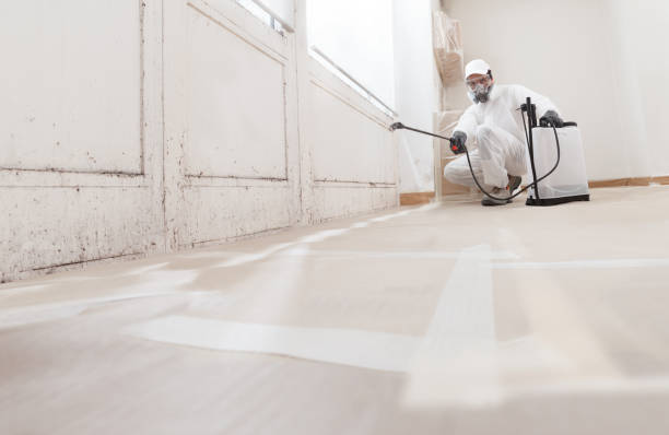 24/7 Emergency Attic Mold Remediation experts in South Hamilton, MA