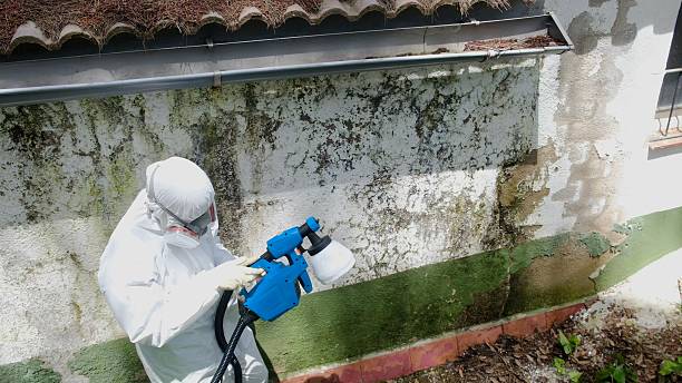 Top rated local Attic Mold Remediation specialists in South Hamilton, MA